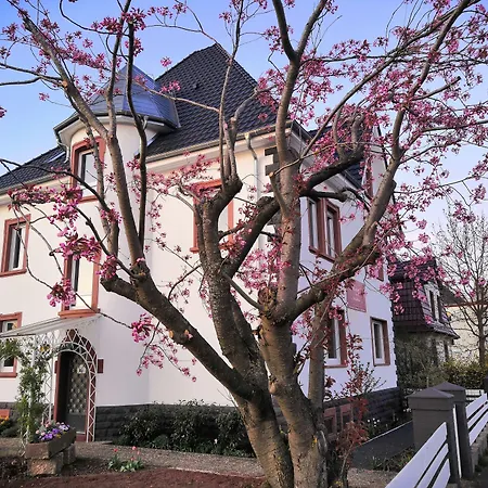 호텔 Kopp-das Gaestehaus Hopfingen